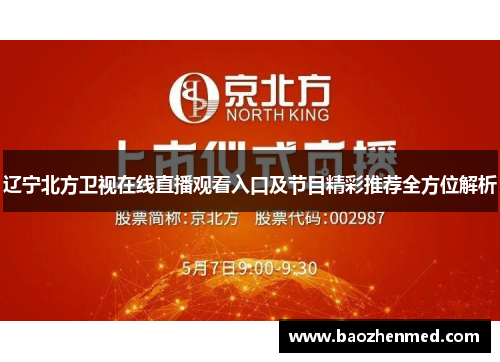 辽宁北方卫视在线直播观看入口及节目精彩推荐全方位解析