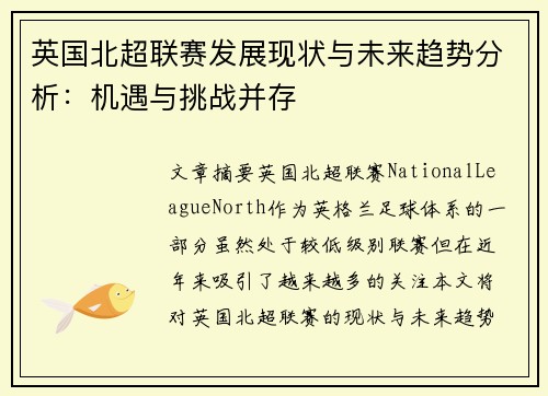 英国北超联赛发展现状与未来趋势分析：机遇与挑战并存